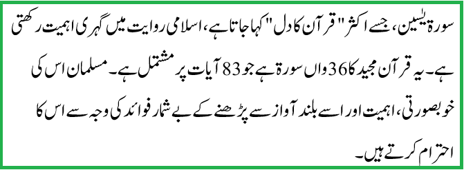 Surah Yaseen Read Online