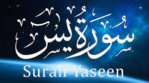 Surah Yaseen Read Online